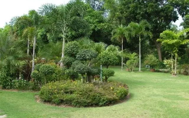 Suwan Guesthouse & Resort