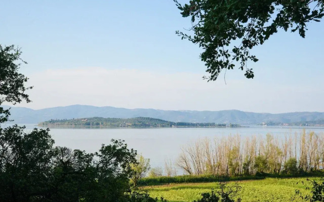 Cozy Farmhouse in Castiglione del Lago With Swimming Pool