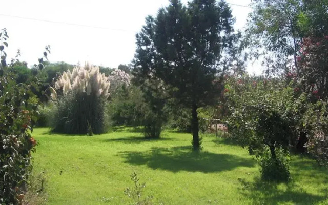 B&B Alvi