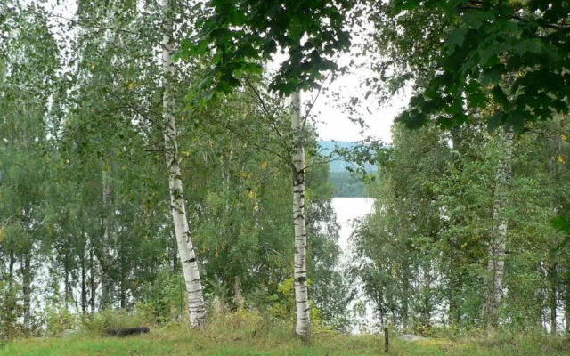4 Person Holiday Home in Östmark