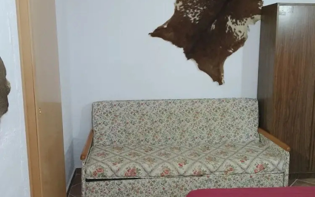 Cortijo Veracruz