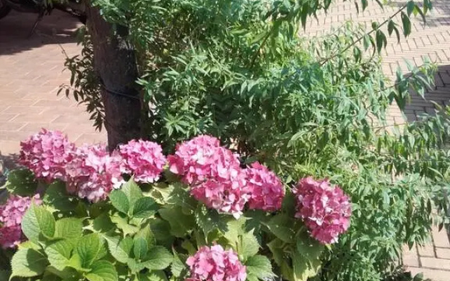 Agriturismo Doremi