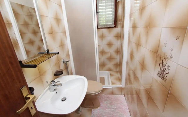 Apartment Paulinic