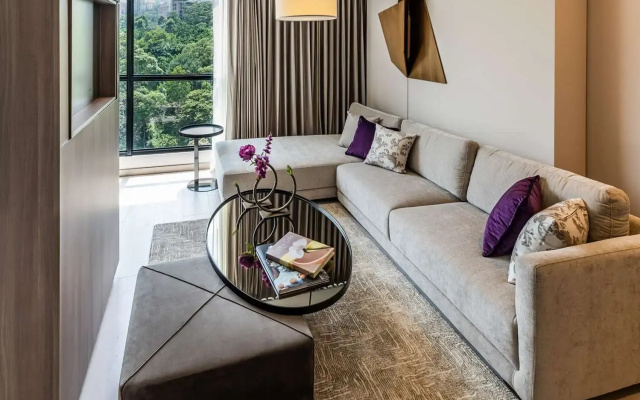 York Medellin, Curio Collection by Hilton