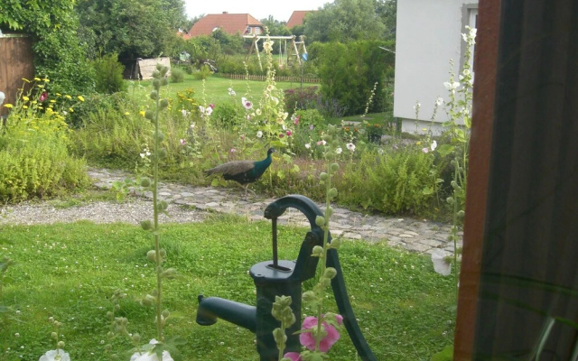 Ferienwohnung "alte Schule"