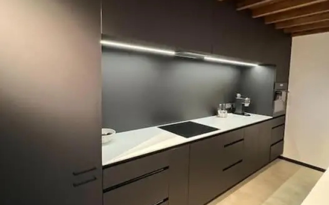 Huge modern flat in New town/Naujamiestis