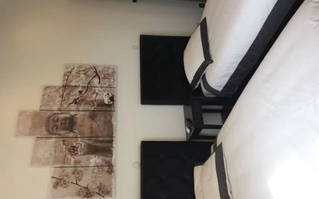 Brand New Villa in the city center