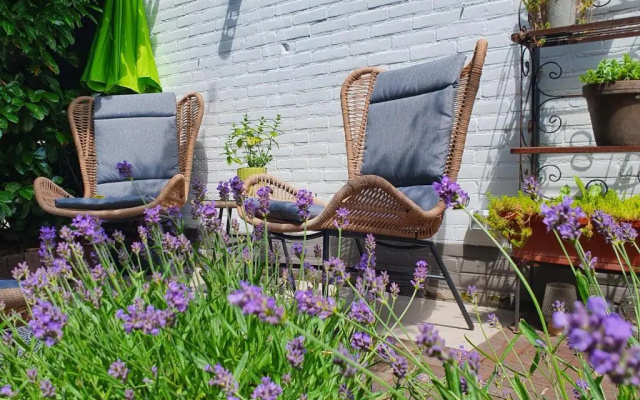 Bed and Breakfast en Studio Het Atelier
