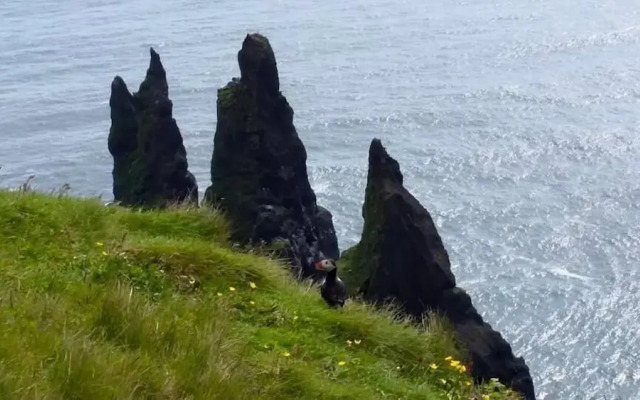 Norður-Vík