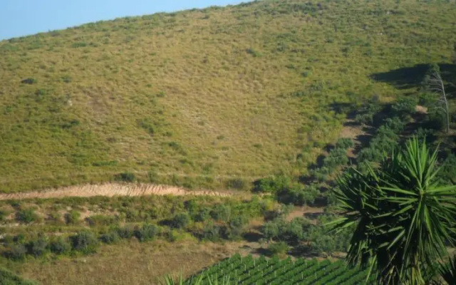 Casa Vacanza Vincenzo