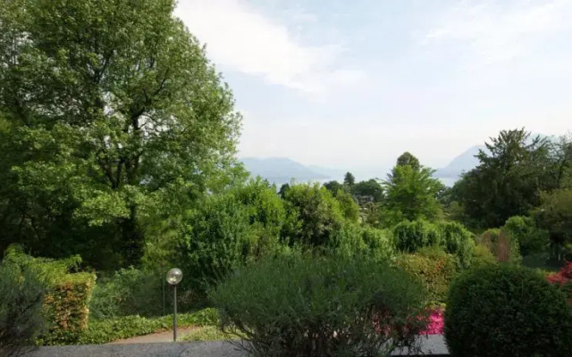 Pallavicino