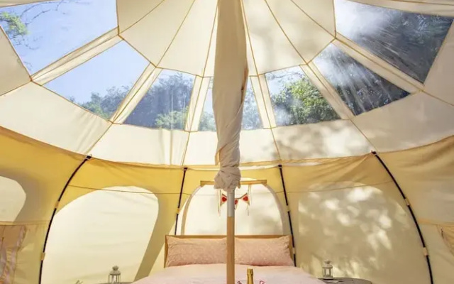 Lloyds Meadow Glamping Delamere Chester