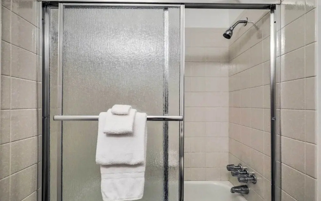 Tampa Vacation Rental Near Busch Gardens!