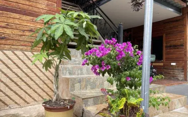 Yukang Jianjiale Dream Home