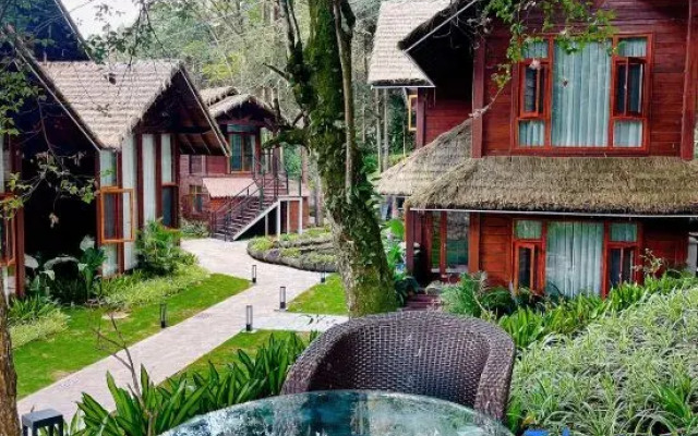 Terraces&Forest Wooden Hotel