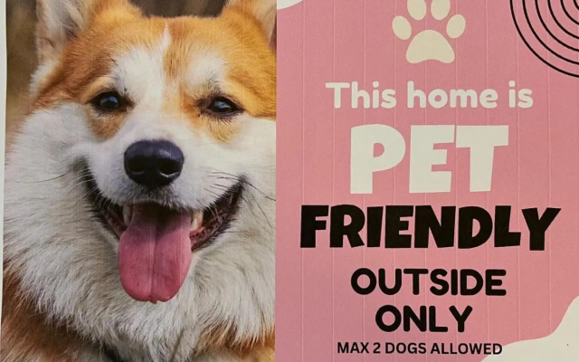 Da Ja Surf - Pet Friendly