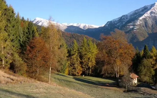 B&B Alpebraus