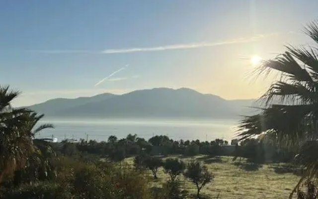 I colori di Titi'