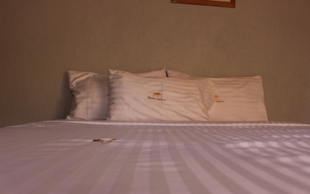 Montane Safaris Hotel Entebbe