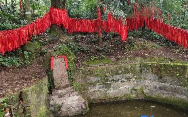jianjusu（qingchenshaxinshanmendian）
