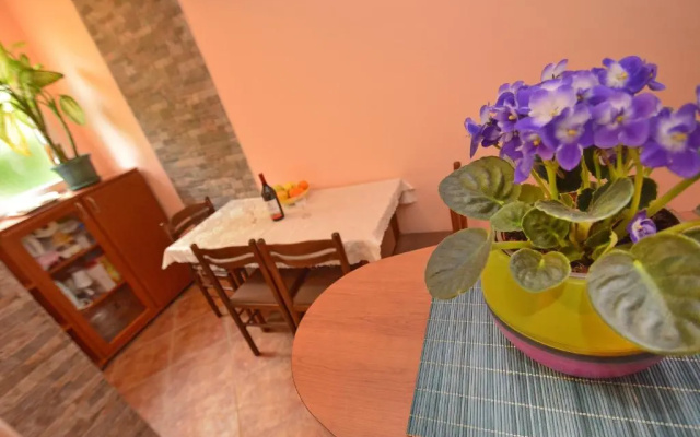 Central Apartment Dobrota I