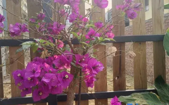 Guanlan Shiguang Homestay