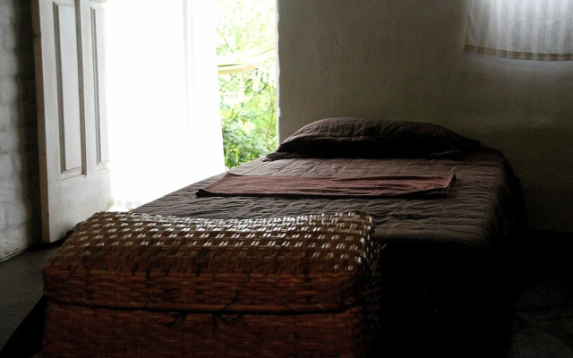 Farinha de Pau - Eco Rural Project