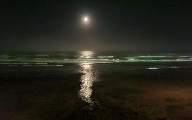 Surfsong