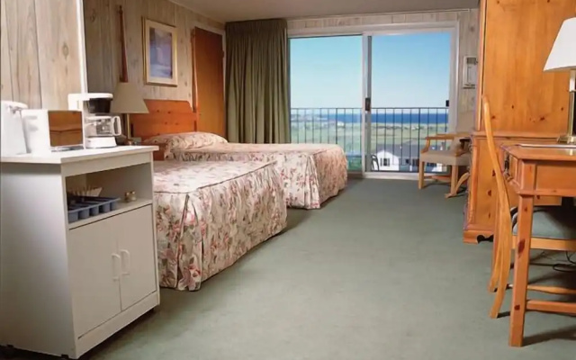 The Vista