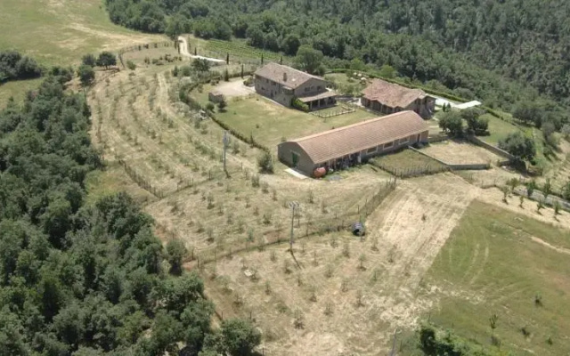 Agriturismo Il Poggio Del Falco