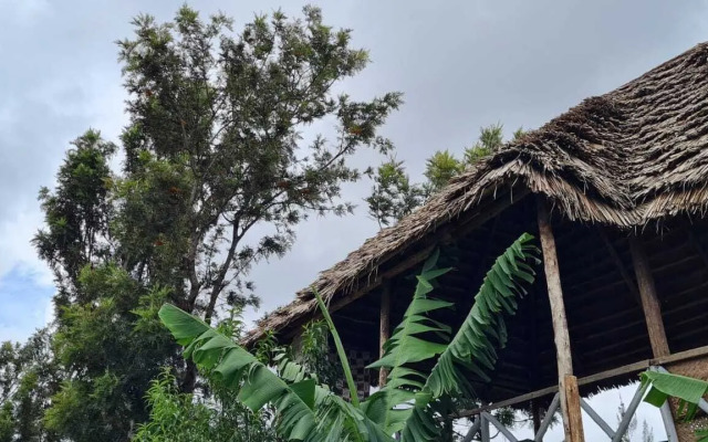 View Mountain House - Backpackers