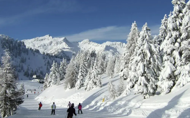Apartment in Celledizzo Near Ski Area