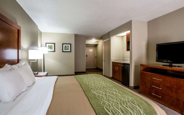 Comfort Inn & Suites At Dollywood Lane