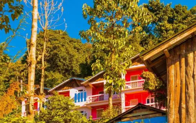 The Wild Flower Retreat