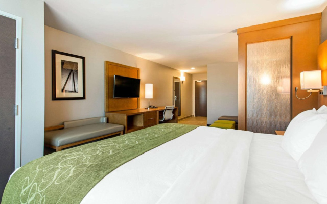 Comfort Suites North Charleston - Ashley Phosphate