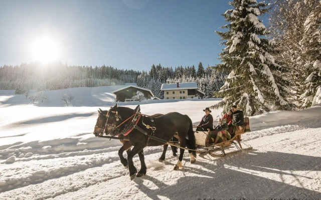 Hideaway Dachstein West by ALPS RESORTS