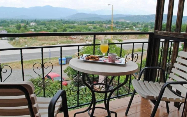 Hotel Aoos