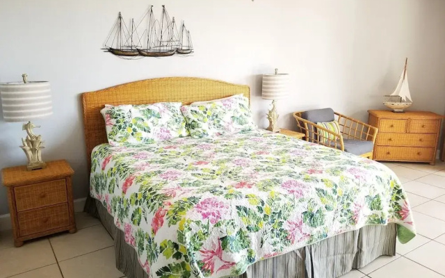 Hibiscus B203