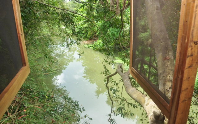 Kumbuk Tree House