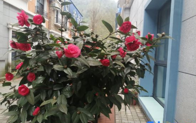 Pengzhou Suixin Hotel