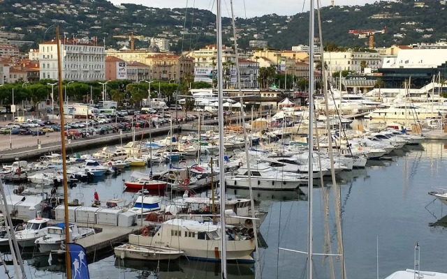 Cannes Croisette Mimosas