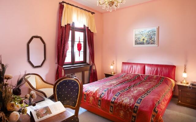 Hotel U Páva вид на фасад