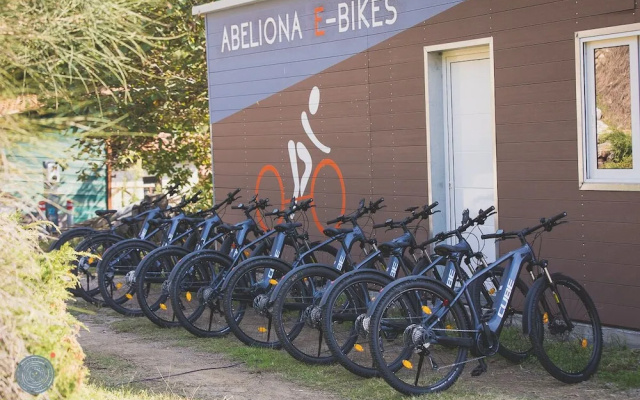 Abeliona Retreat