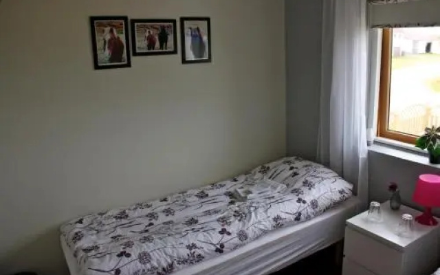 Skjólsteinar