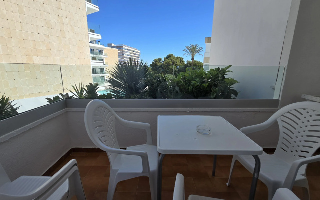 Marina Palmanova Apartamentos