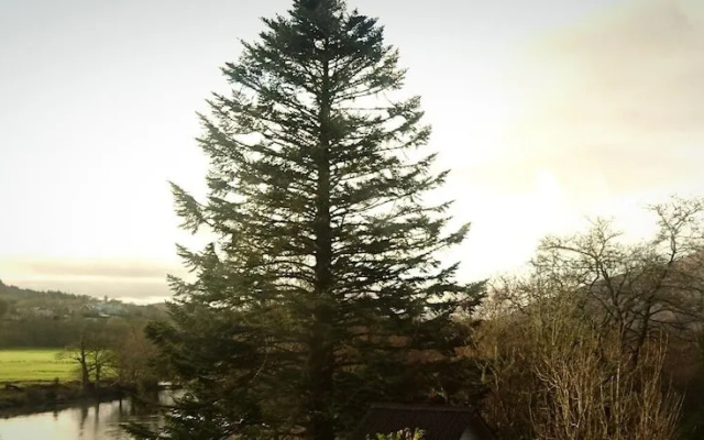 Orchy Bank House