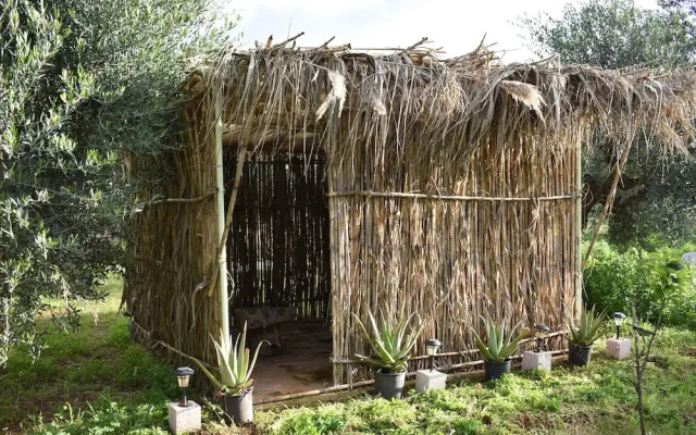 Cocoon Tent in an Olive Grove