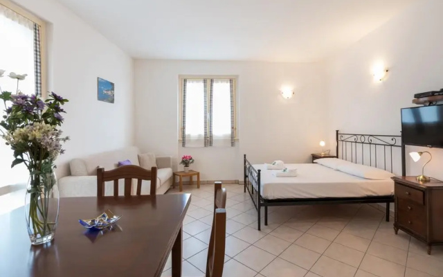 Easy Welcome Begonie