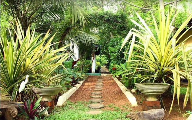 Vista Araliya Guesthouse