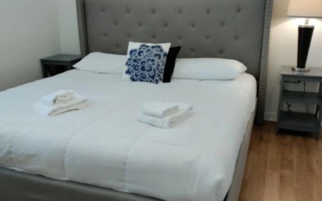 Bella Vida 531